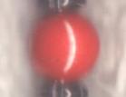 Mars - red coral