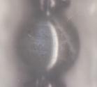 Neptune - labradorite